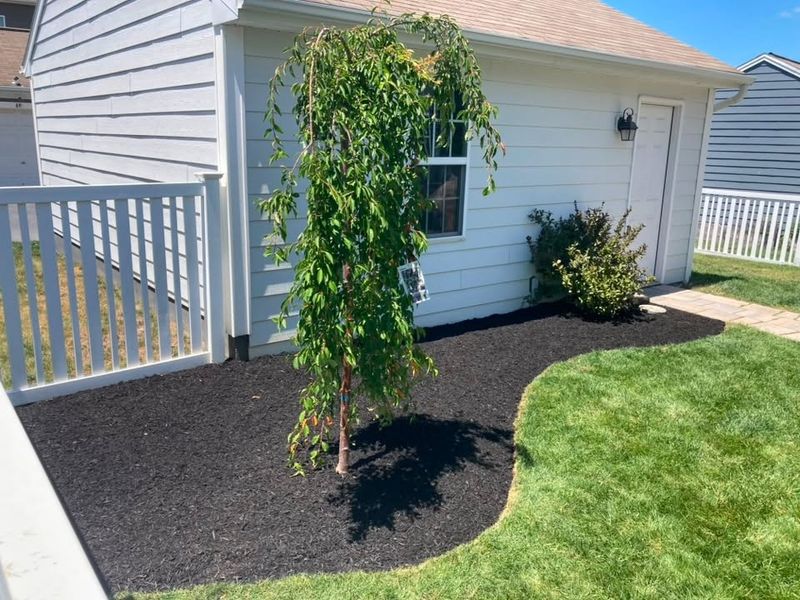 Landscape Design