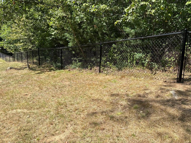 Chainlink Fencing
