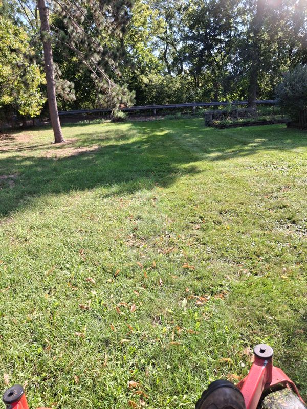 Lawn Maintenance