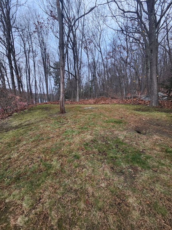 Spring & Fall Cleanups