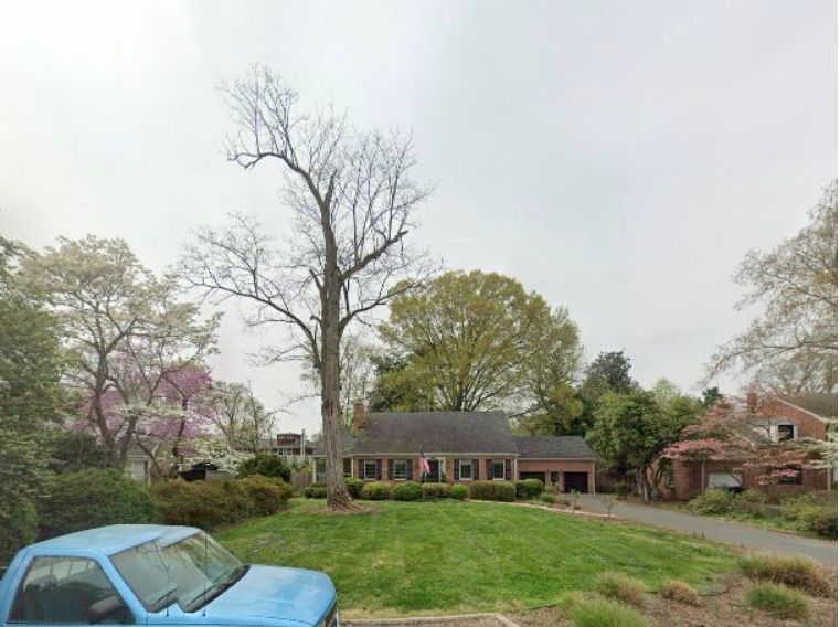 Lawn care and Seasonal Clean up Services
