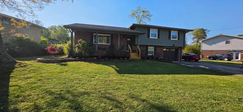 Landscape Design & Installation