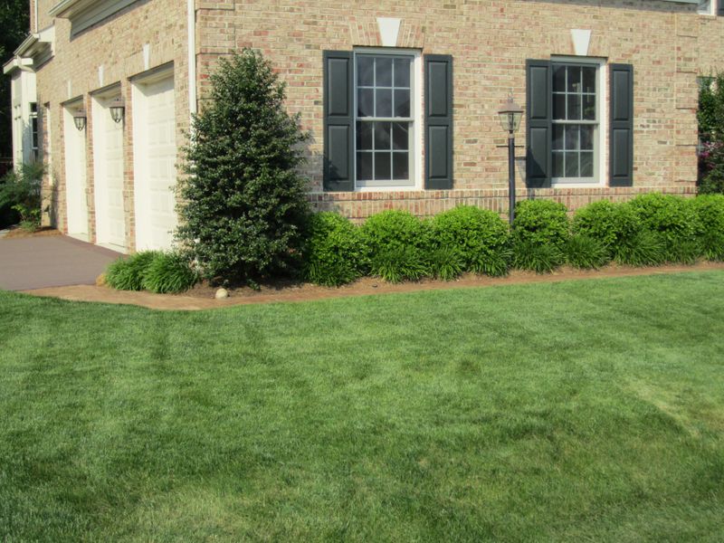 Lawn Care Maintenance