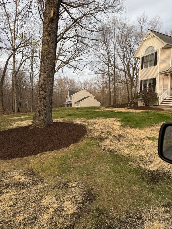 Landscaping