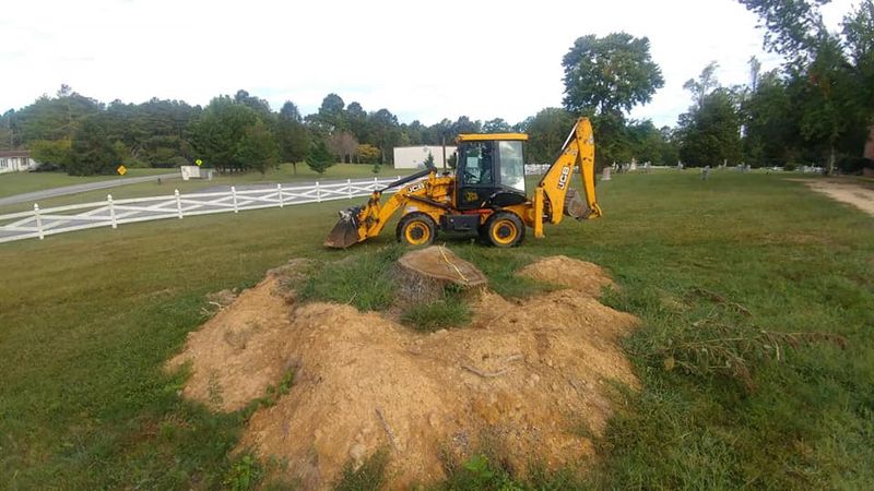 Tree Removal