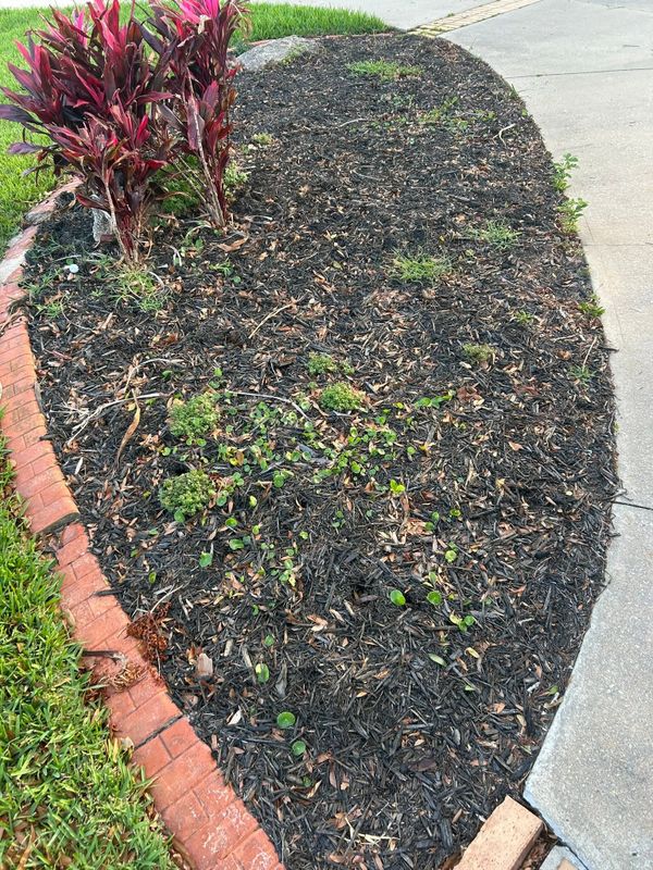 Mulch/ Rock Installation (Add on)