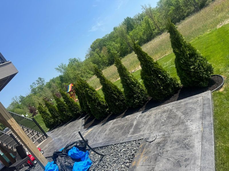 Mulch Installation