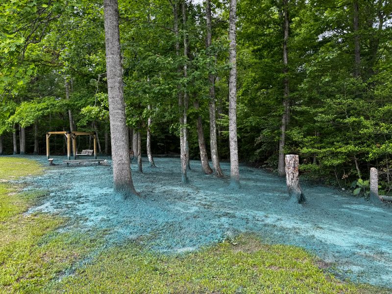Hydroseeding