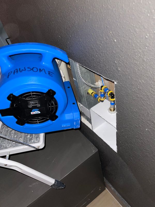 Leak Repair