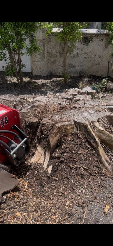 Stump Grinding