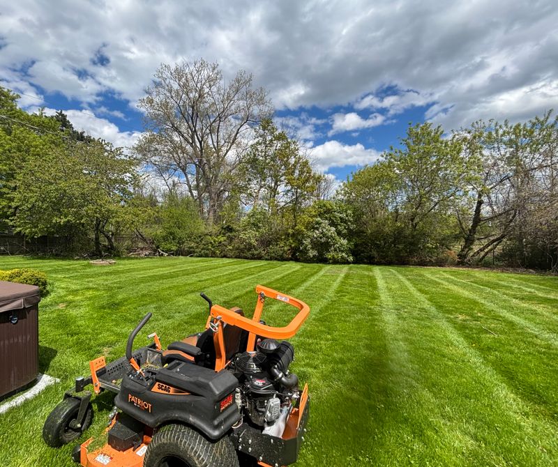 Lawn Maintenance