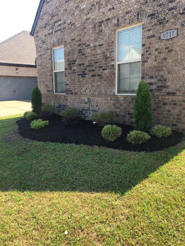 Lawn Maintenance