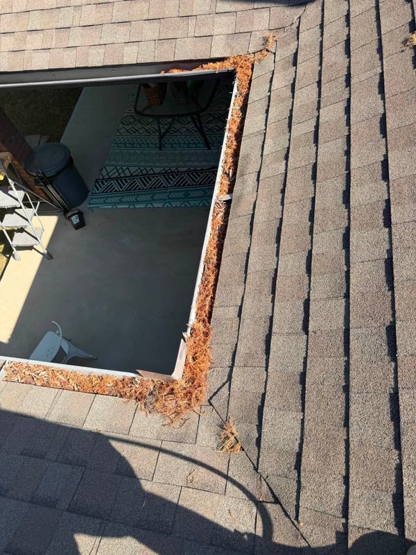 Gutter Cleaning