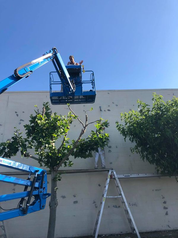 Exterior Painting gallery