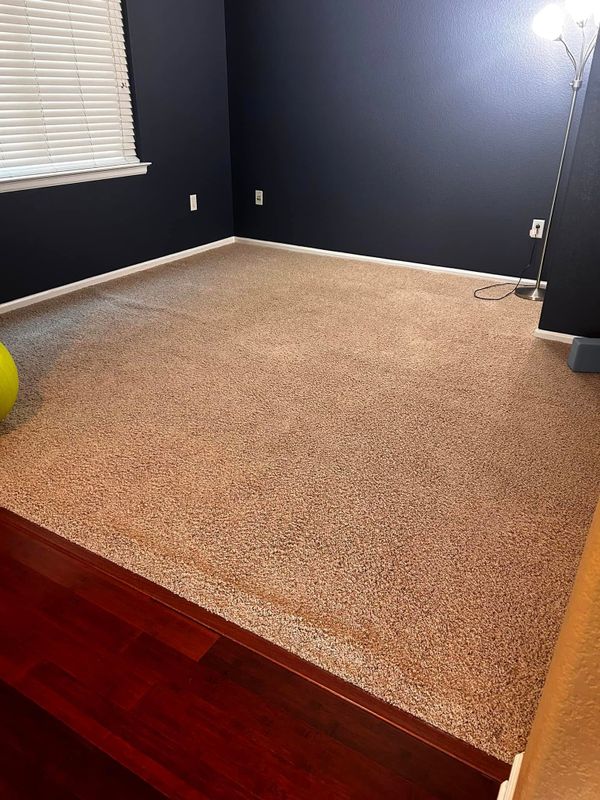 Carpet Installation and Repair