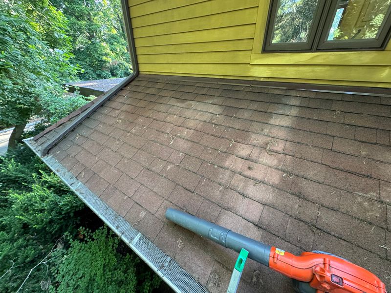 Gutter Cleaning