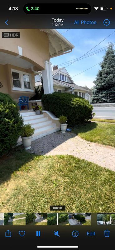 Tree & Shrub Care
