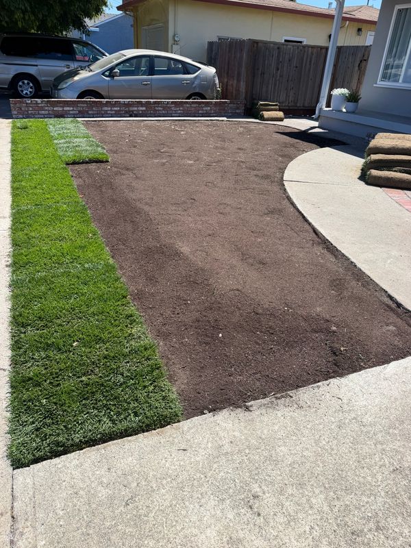 Landscaping