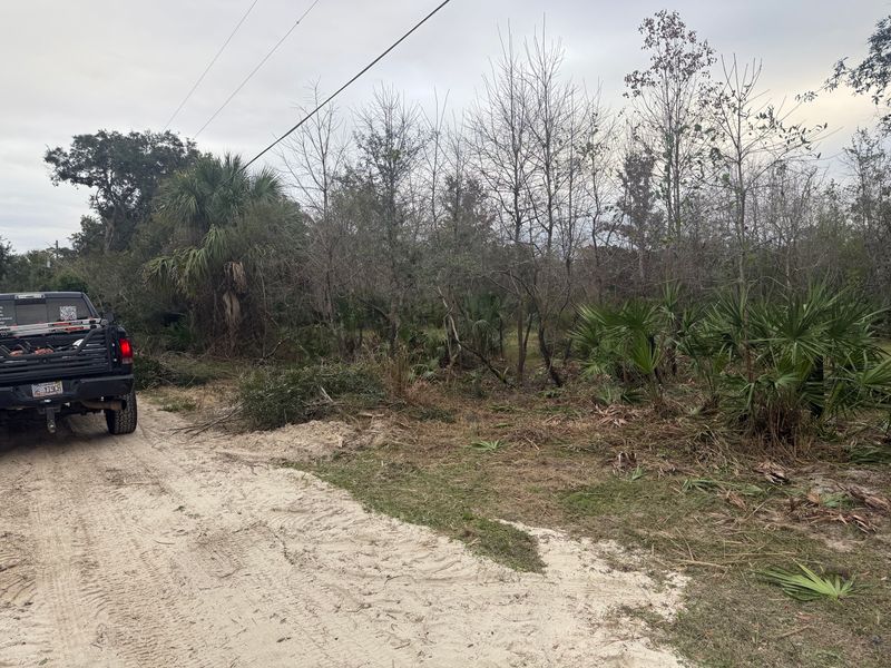 Land Clearing