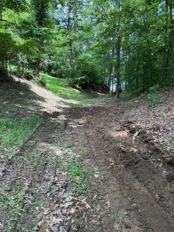 Land Clearing