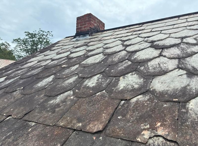 Roof Repair Assessment