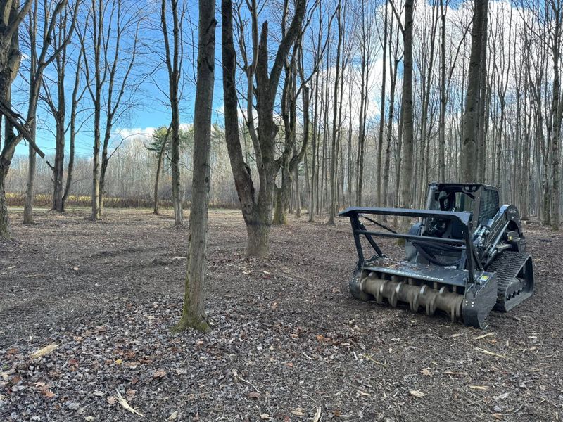 Forestry Mulching