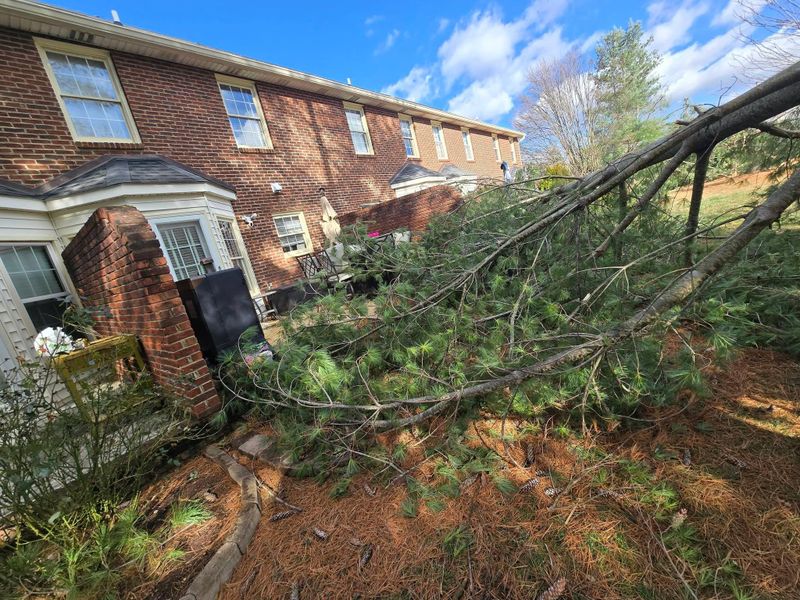 24/7 storm cleanup