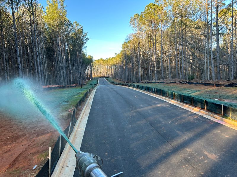 Hydroseeding gallery