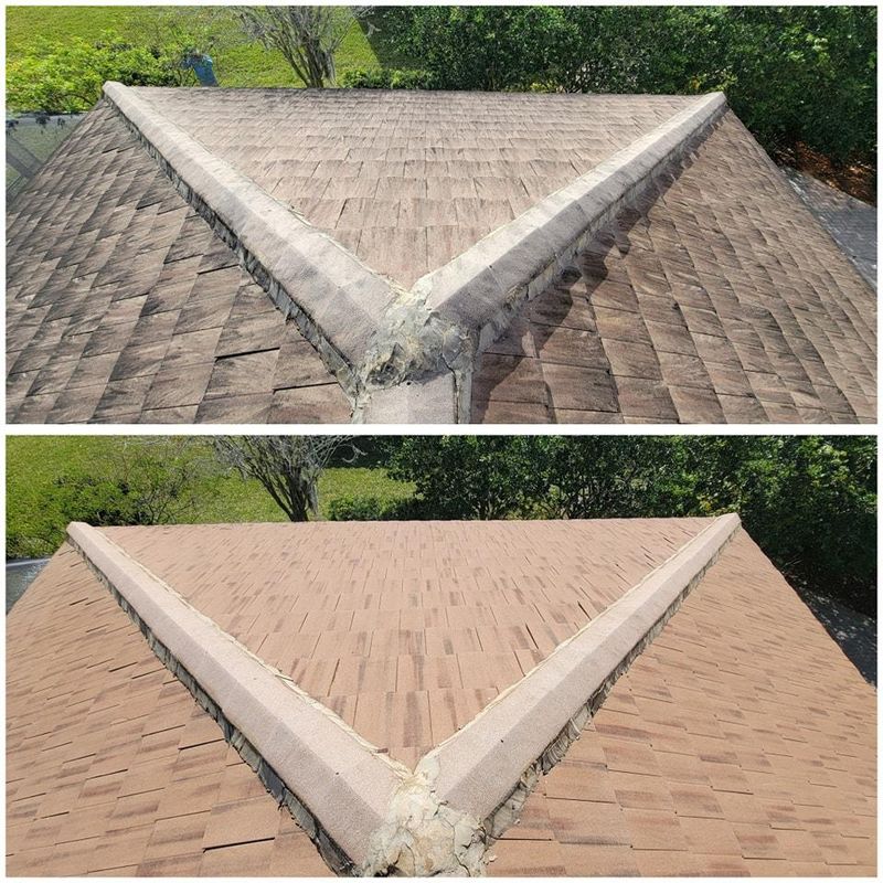 Roof Cleaning