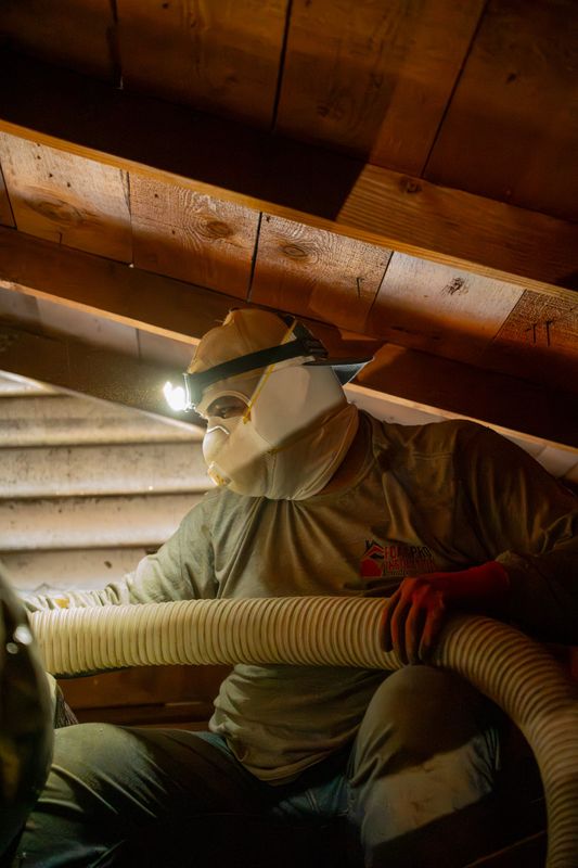 Insulation Removal