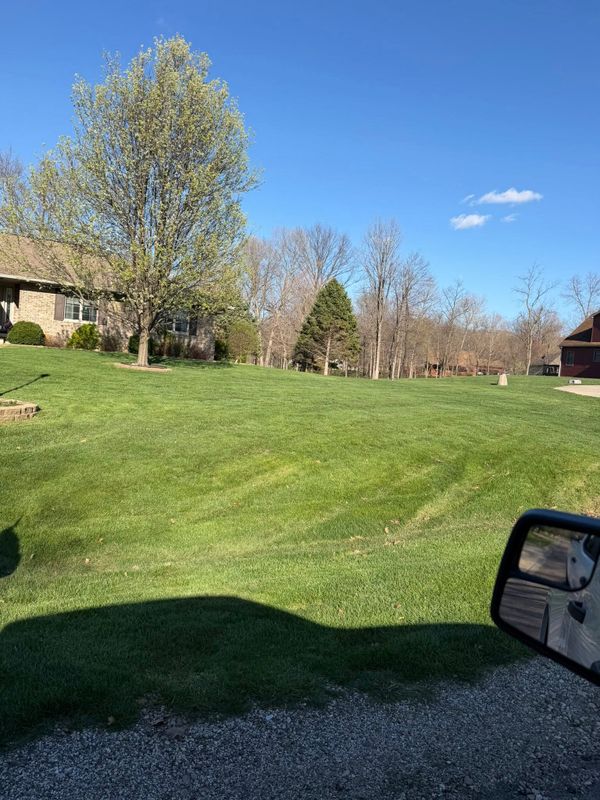 Lawn Maintenance