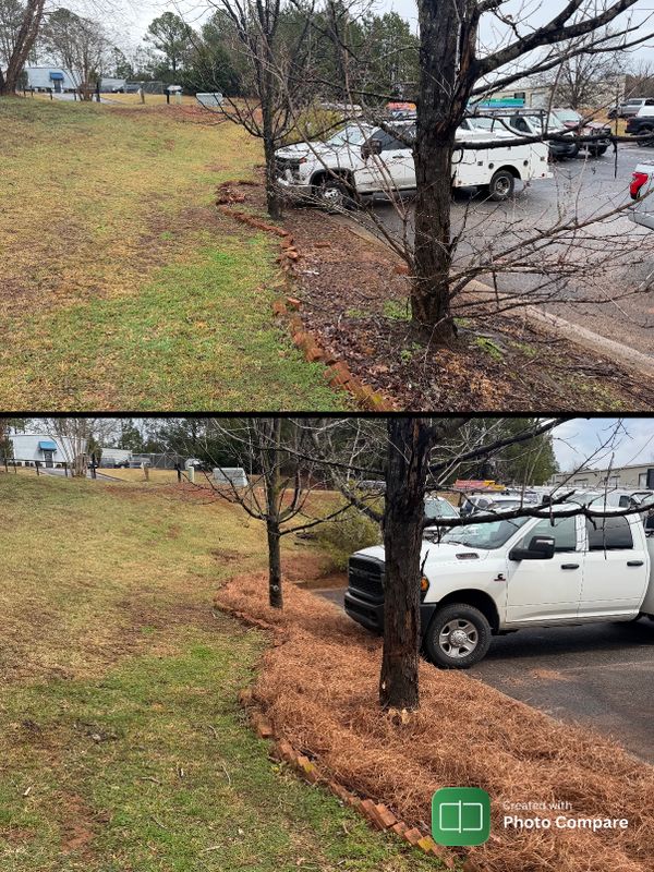 Before & Afters