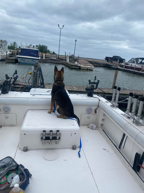 Fishing Charters