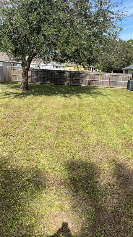 Lawn Maintenance