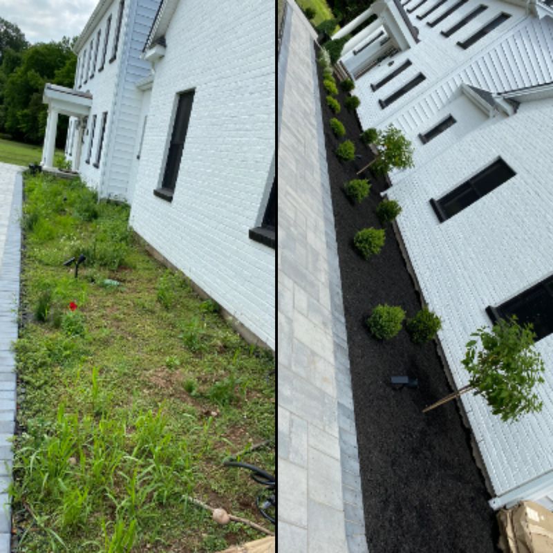Plant & Shrub Installations