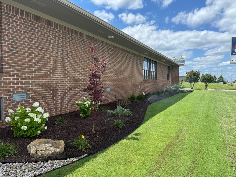 Garden Designs