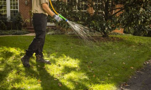 Lawn Treatments