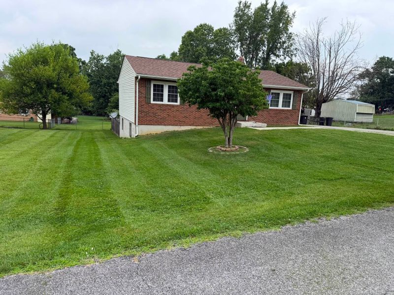 Lawn Maintenance