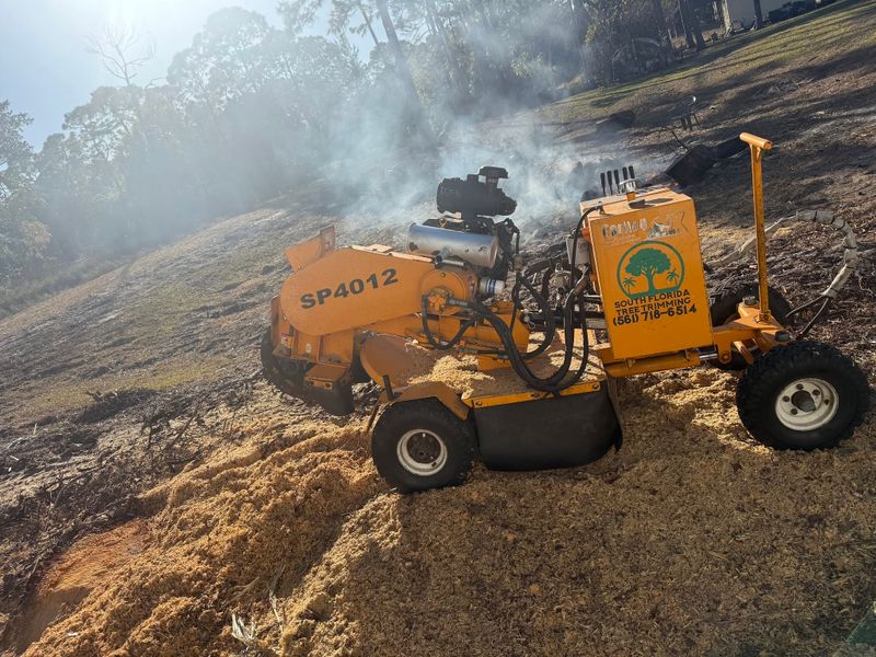 Stump Grinding