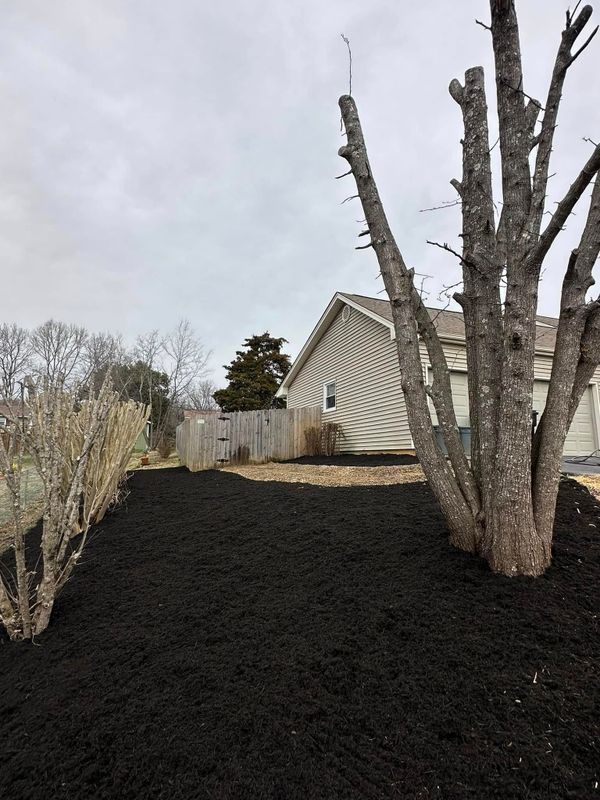 Landscaping
