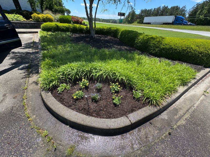 Mulch Installation