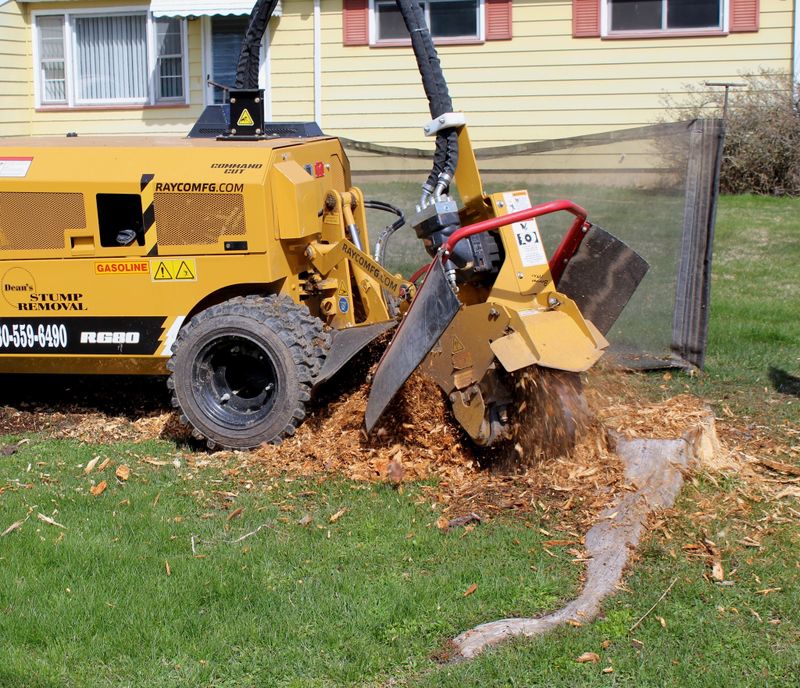 Stump Removal