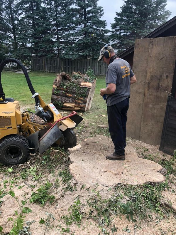 Stump Removal