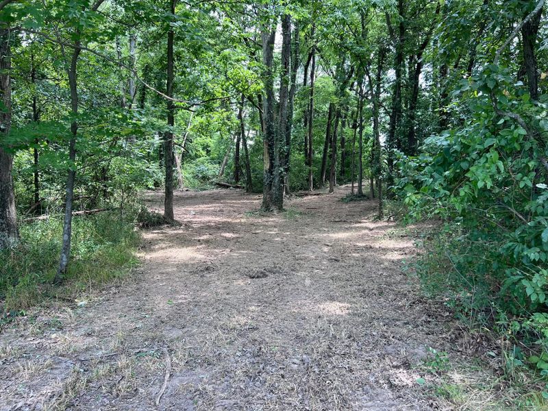 Forestry Mulching