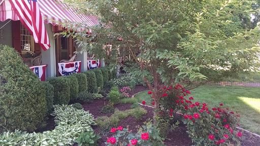 Privacy Plantings