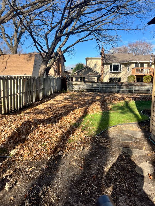 Yard Clean Up