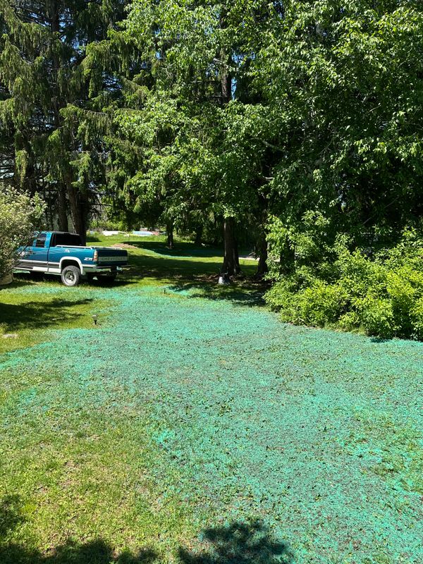 Hydroseeding Services