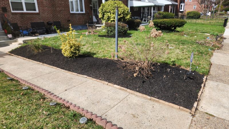 Lawn Care