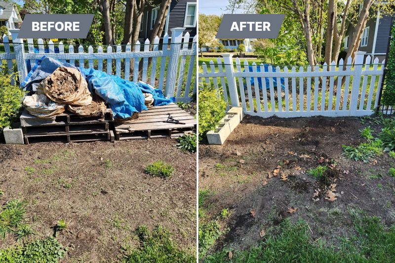 Our Past Work