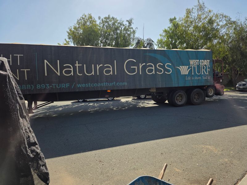 Artificial Turf Installations